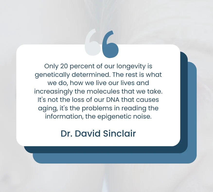 NAD+ Liposomal Longevity complex AEON 3.0 - LifeUnlocked